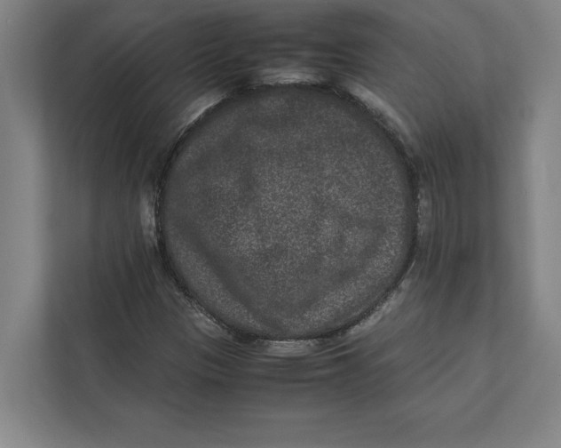 X0000111841305200908201208