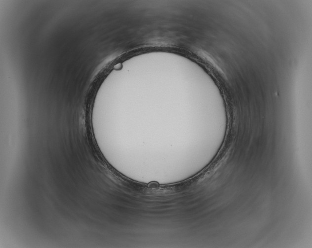 X0000111841307200908201208