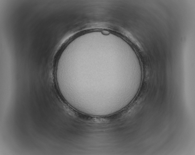 X0000111841312200908201209