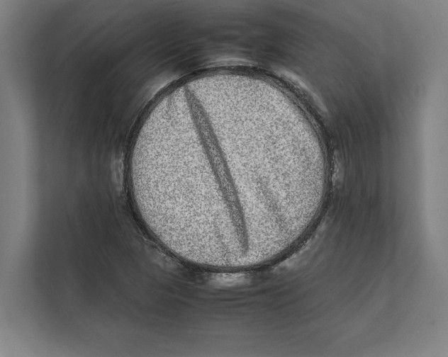 X0000111841313200908201209