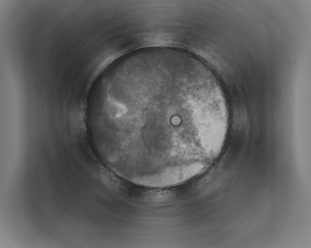 X0000111841314200908201209