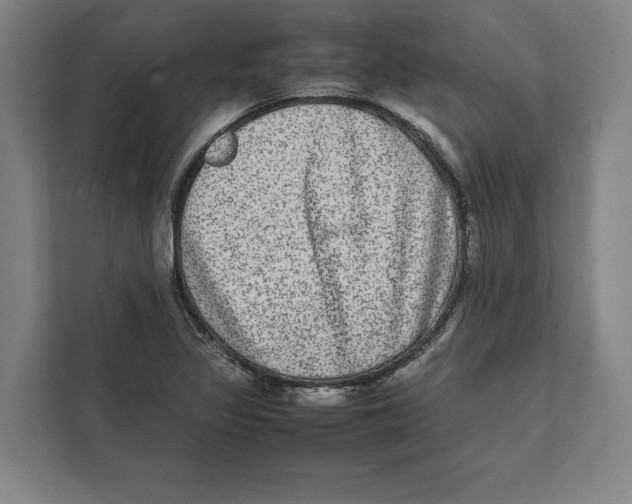 X0000111841317200908201209