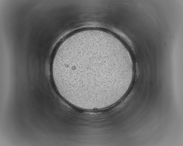 X0000111841318200908201209