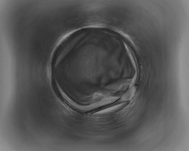 X0000111841319200908201209