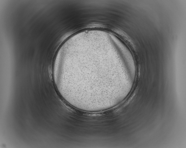 X0000111841321200908201209