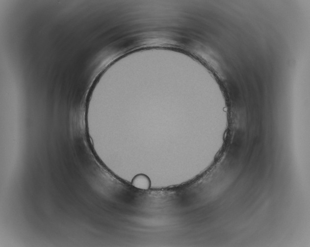 X0000111841322200908201209