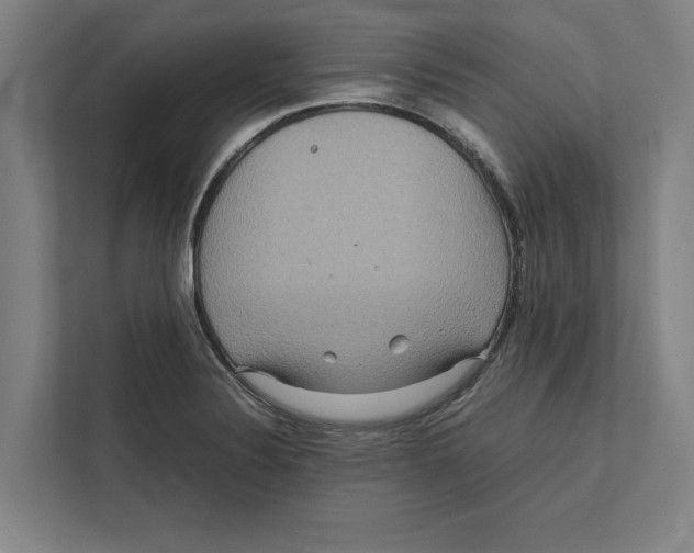 X0000111841324200908201209