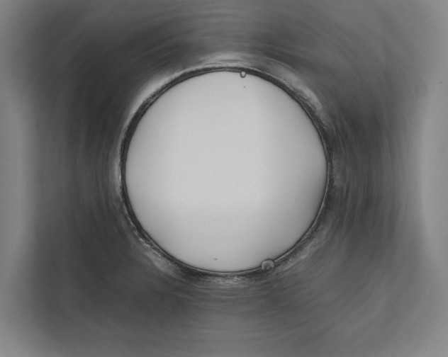 X0000111841328200908201209