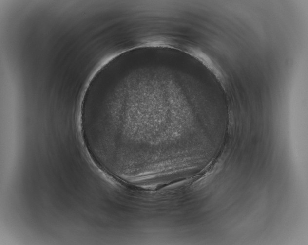 X0000111841331200908201209