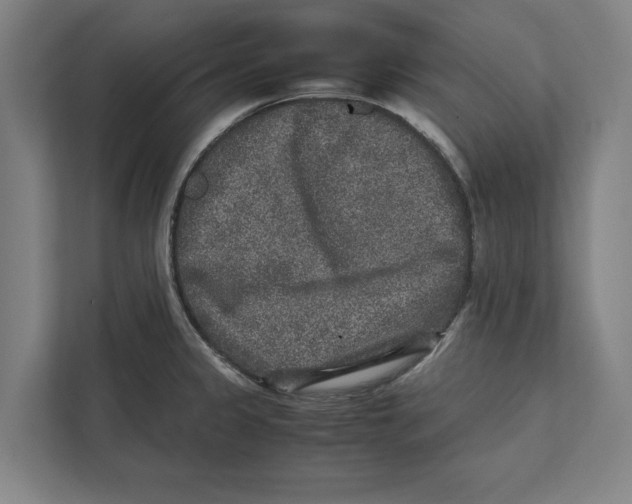 X0000111841333200908201209