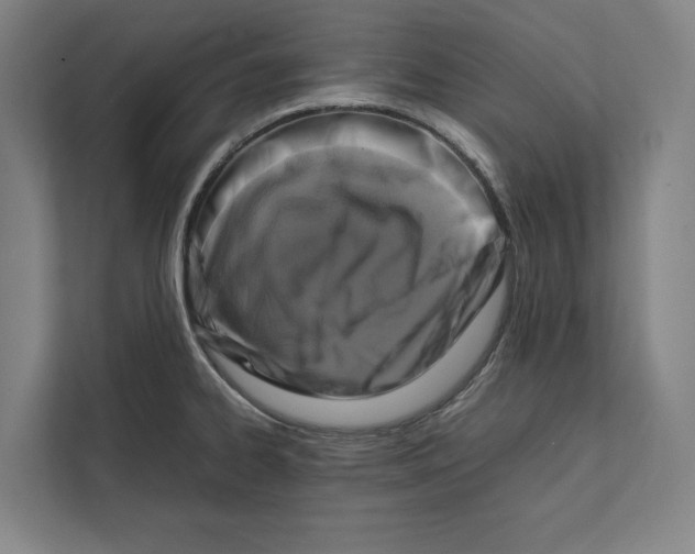 X0000111841334200908201209