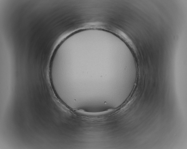 X0000111841336200908201209