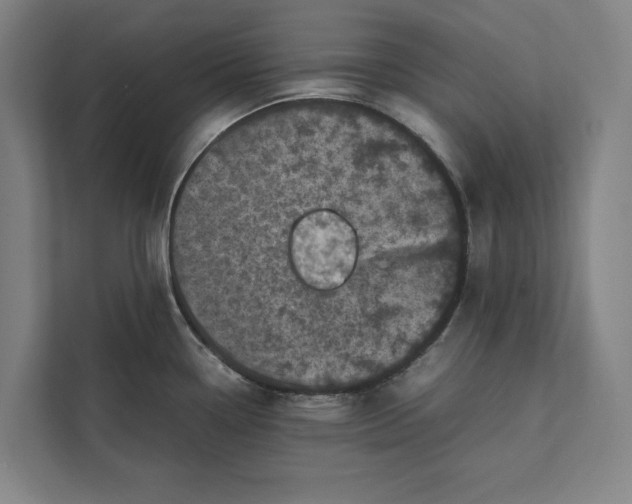 X0000111841338200908201209