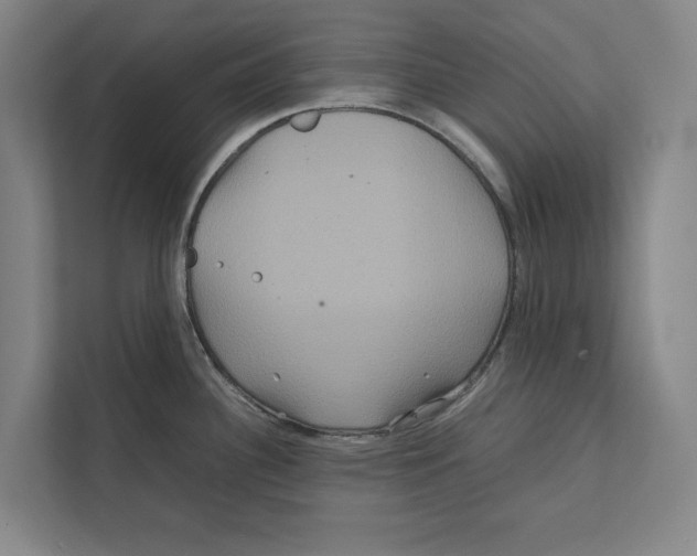 X0000111841340200908201209