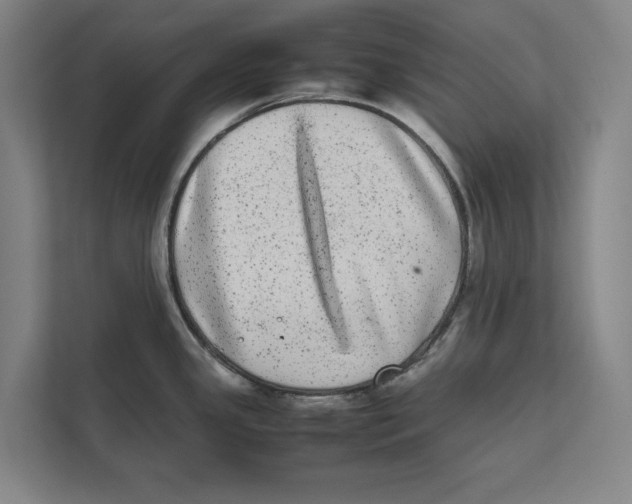 X0000111841341200908201209