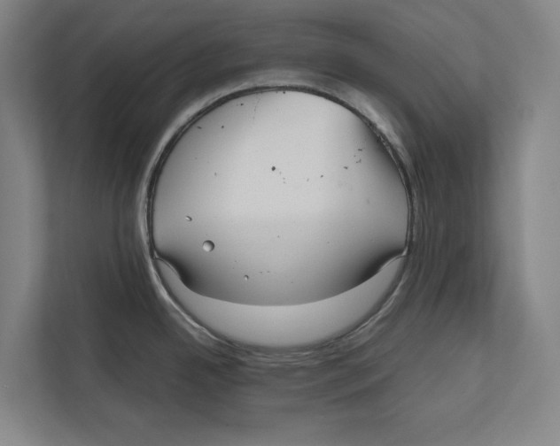 X0000111841342200908201209