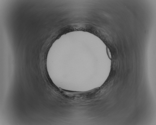 X0000111841345200908201208