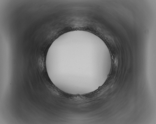 X0000111841348200908201208