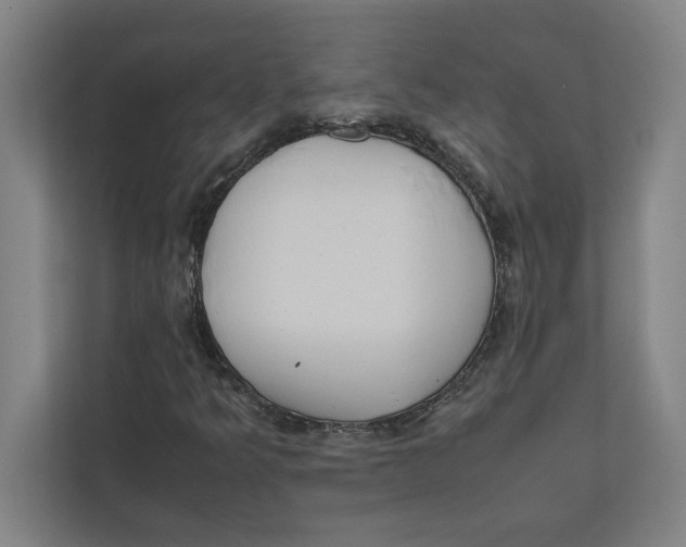 X0000111841349200908201208