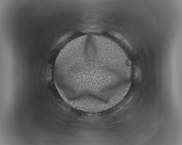 X0000111841350200908201208