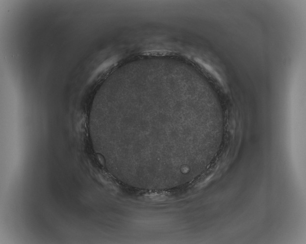 X0000111841351200908201208