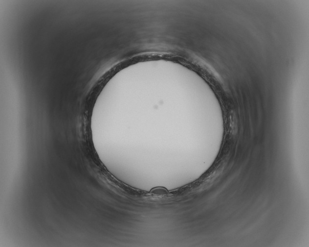 X0000111841352200908201208