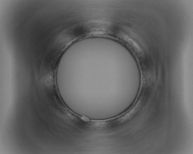 X0000111841353200908201208