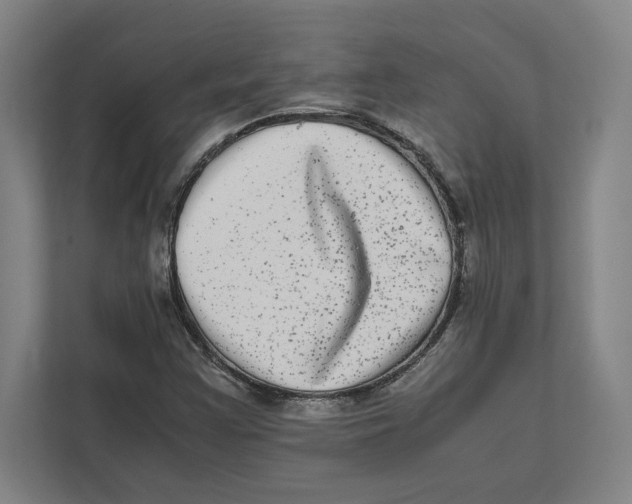 X0000111841355200908201208