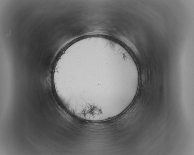 X0000111841356200908201208