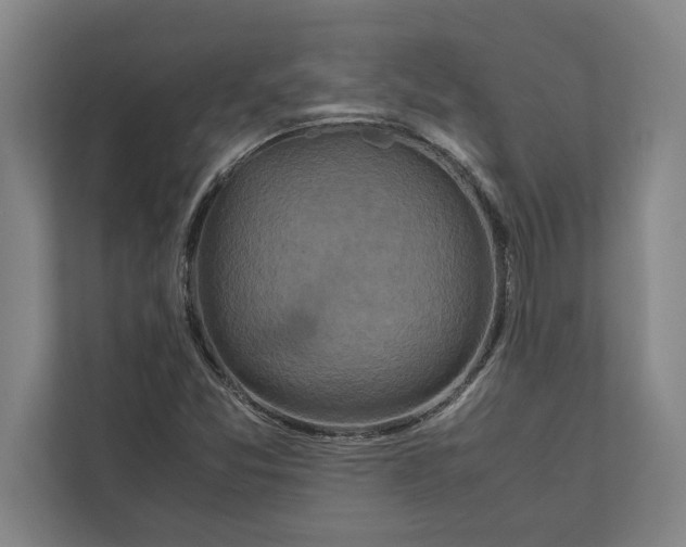 X0000111841357200908201208