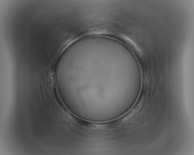 X0000111841361200908201208