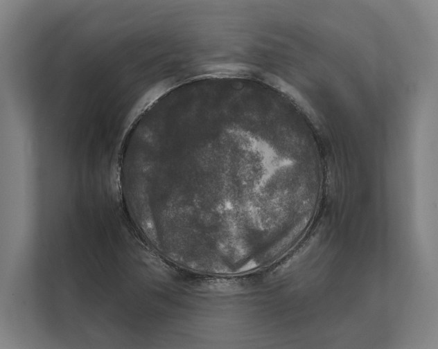 X0000111841362200908201208