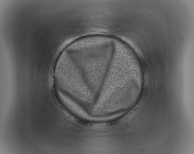 X0000111841363200908201208