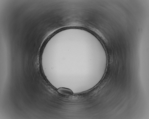 X0000111841364200908201208