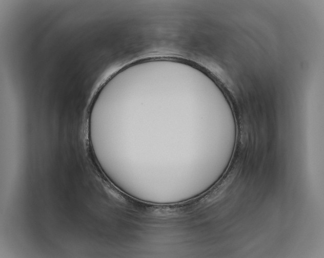 X0000111841366200908201208