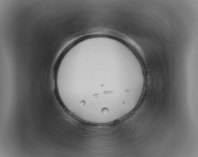 X0000111841368200908201208