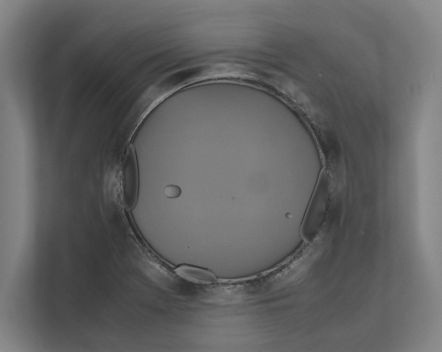 X0000111841369200908201208