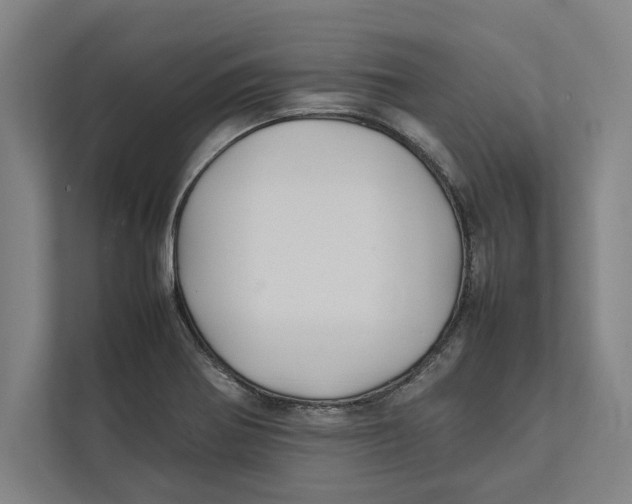 X0000111841370200908201208