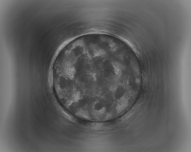 X0000111841371200908201208