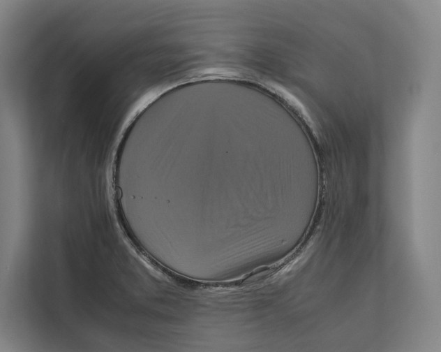 X0000111841373200908201208