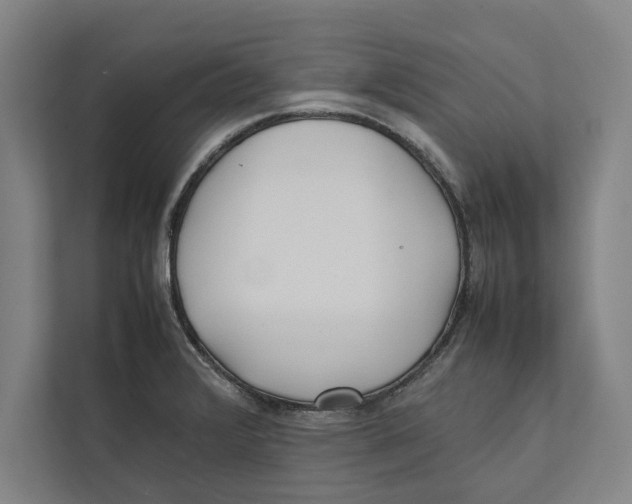 X0000111841376200908201208