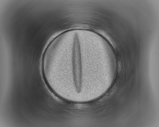 X0000111841379200908201208