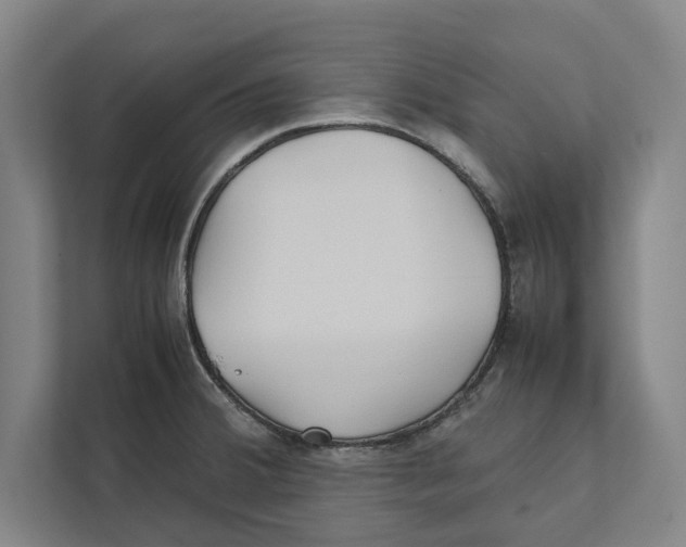 X0000111841380200908201208