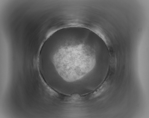 X0000111841381200908201208