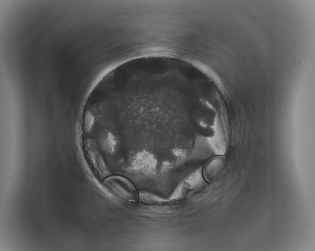 X0000111841383200908201208