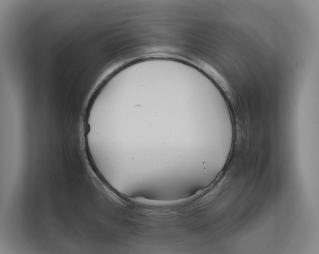 X0000111841384200908201208