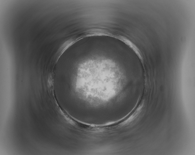 X0000111841385200908201208