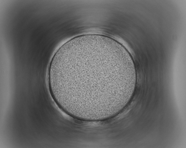 X0000111841387200908201208