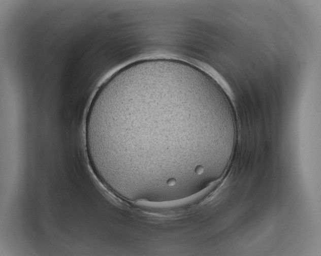 X0000111841388200908201208