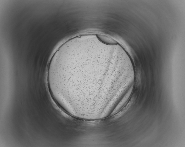 X0000111841390200908201208